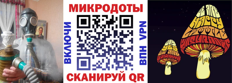 даркнет телеграм  Петушки  OMG   Галлюциногенные грибы Psilocybe  наркошоп 